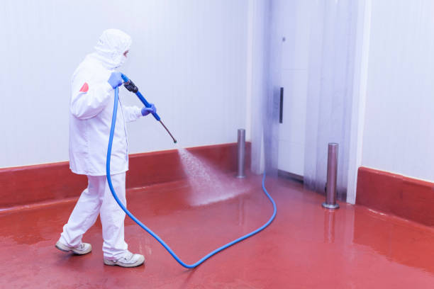 Best Dumpster Area Cleaning  in Southworth, WA